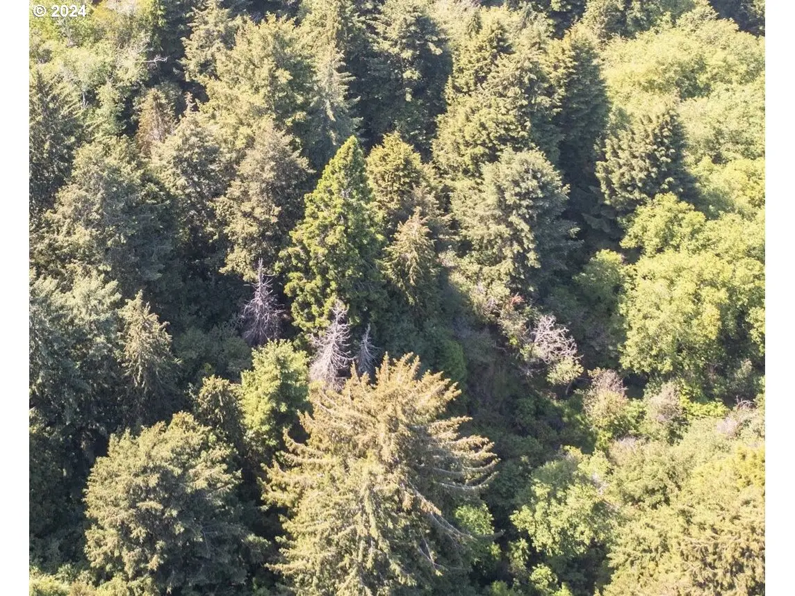 Bill Creek Ln, Bandon, OR 97411 - Image #1