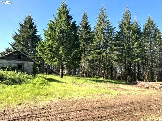 NW Lodge Rd, Banks, OR 97106 - #2