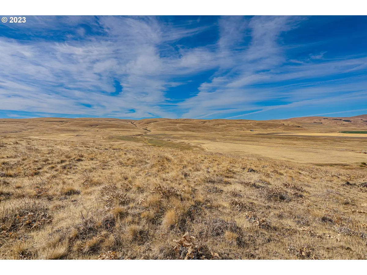 1602 Centerville Hwy, Centerville, WA 98613 - Image #1