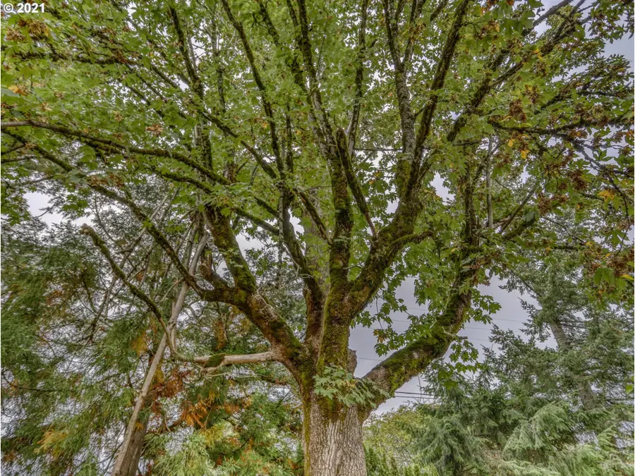 30148 SE Bluff Rd, Gresham, OR 97080 - Image #3