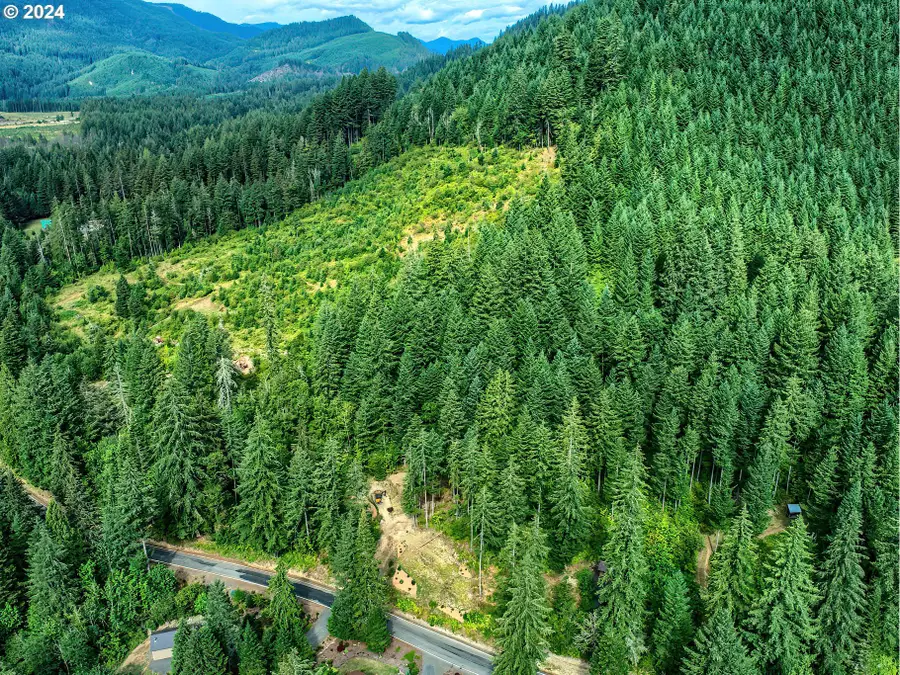 Bear Creek Rd, Carson, WA 98610 - Image #2