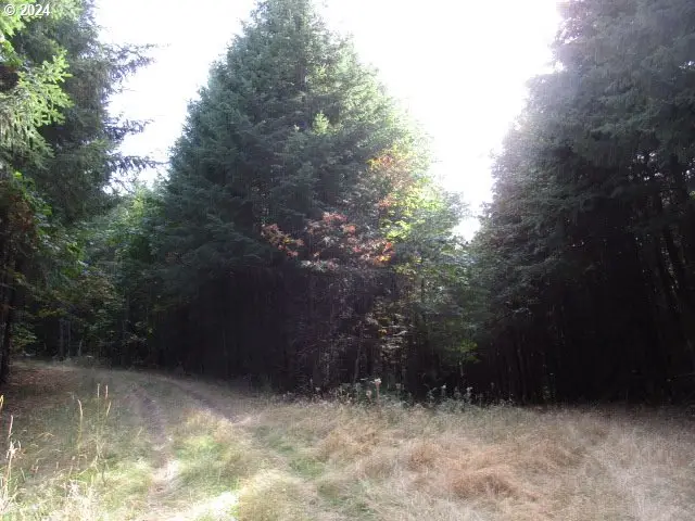 00 NW Crane (2), Yamhill, OR 97148 - Image #1