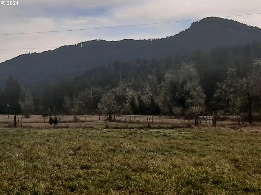 39933 Layng Creek Rd, Dorena, OR 97434 - Image #2
