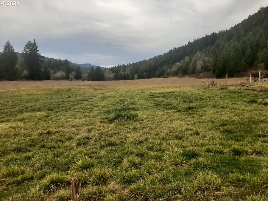 39933 Layng Creek Rd, Dorena, OR 97434 - Image #3