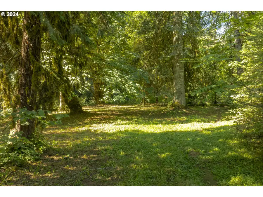 0 NE Williamson Rd, Newberg, OR 97132 - Image #3