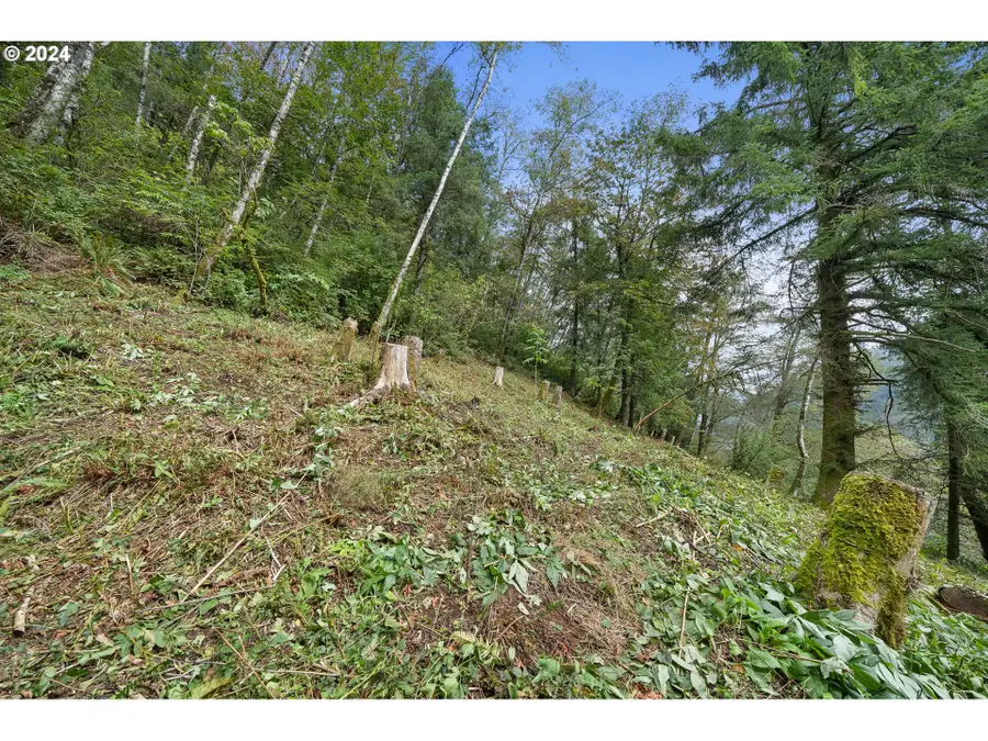 00500 Kilchis River, Tillamook, OR 97141 - Image #2