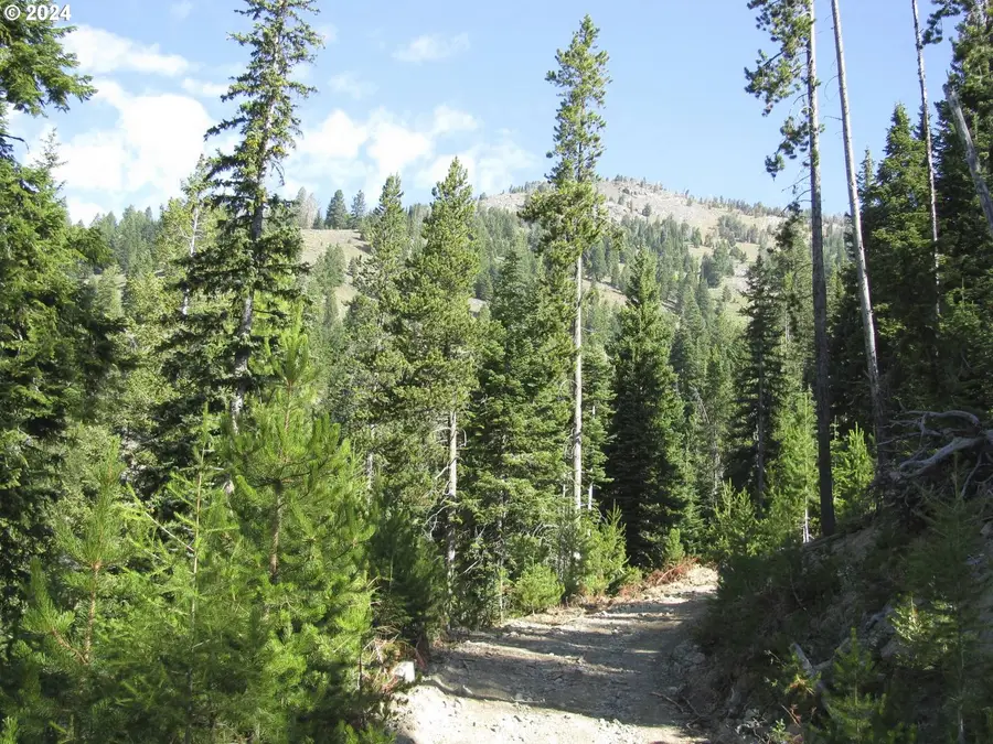 08s37 Tl-1600,1700, Sumpter, OR 97877 - Image #3