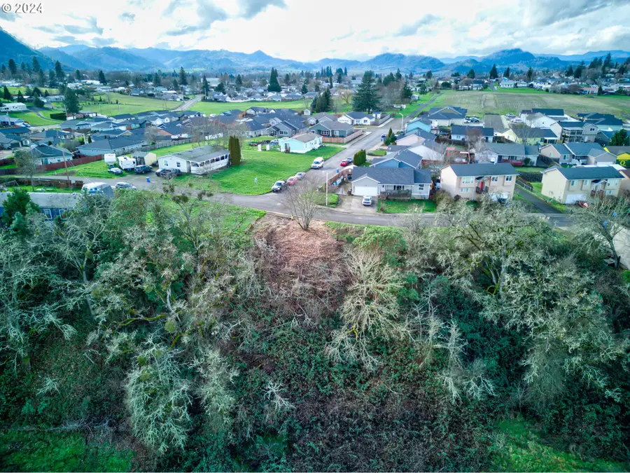 105 SE Lebleu Ln, Winston, OR 97496 - Image #3