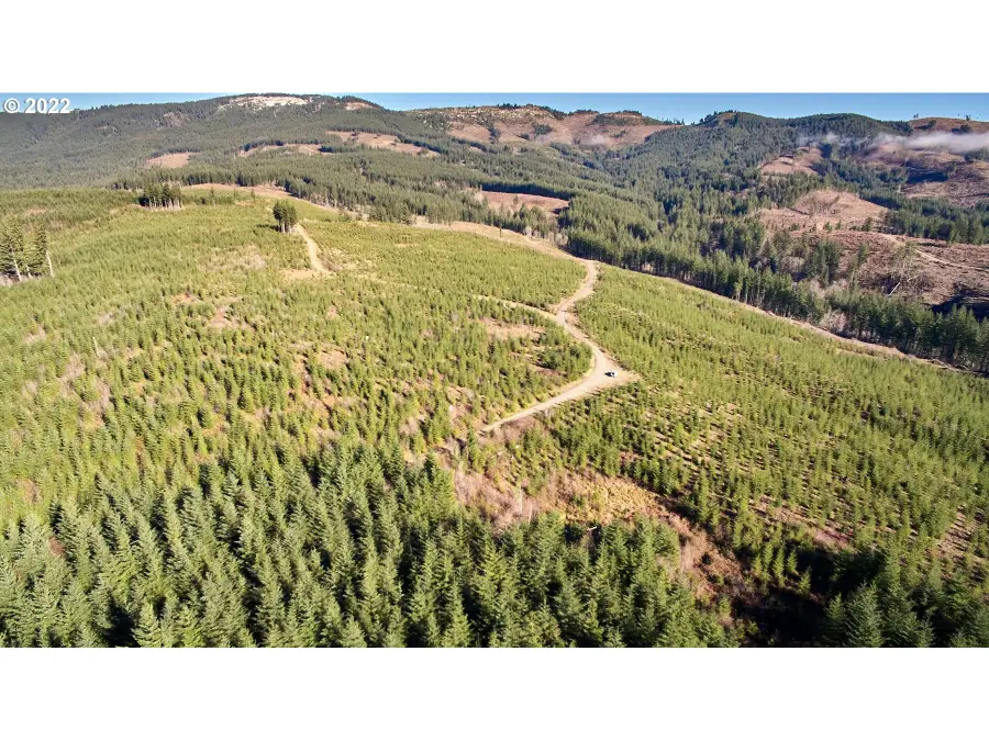 4 NE Jones Rd, Camas, WA 98607 - Image #2