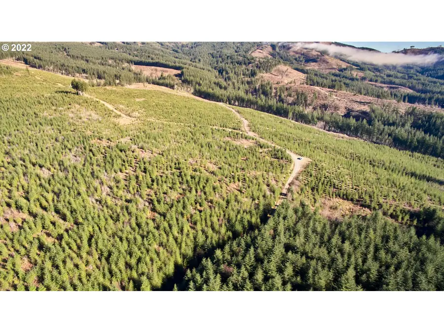 4 NE Jones Rd, Camas, WA 98607 - Image #3