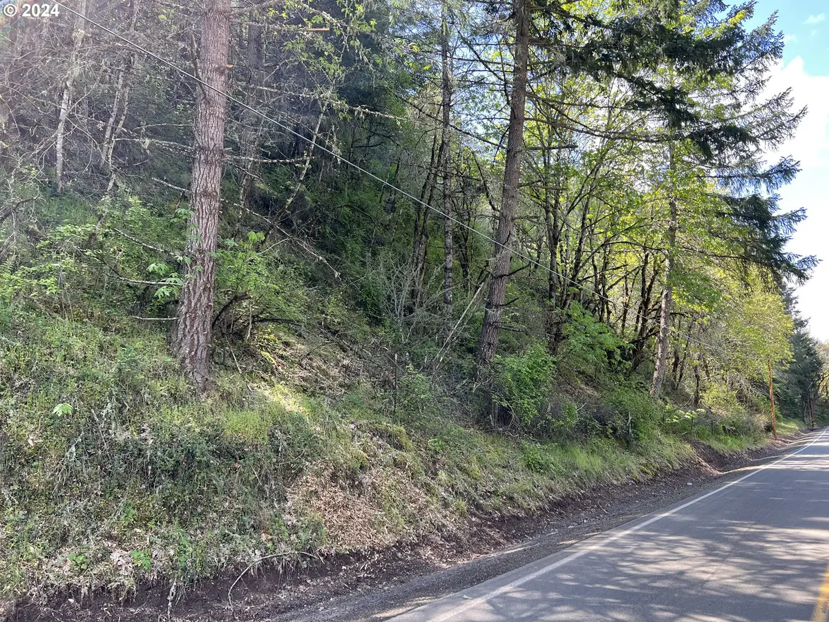 000300 Clarks Branch Rd, Myrtle Creek Riddle, OR 97457 - Image #1