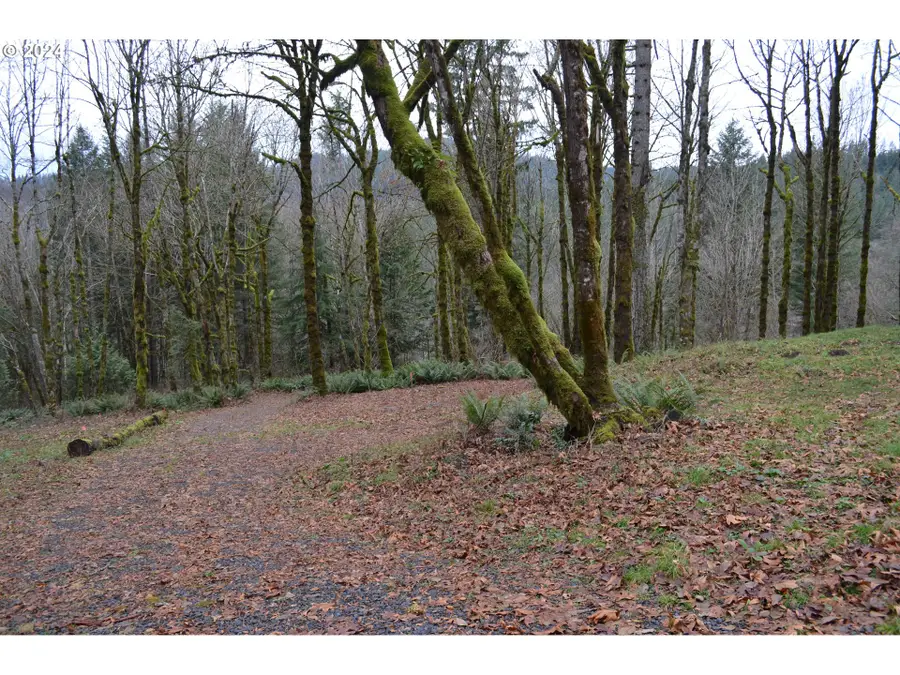 NE 380th Ave, Washougal, WA 98671 - Image #3