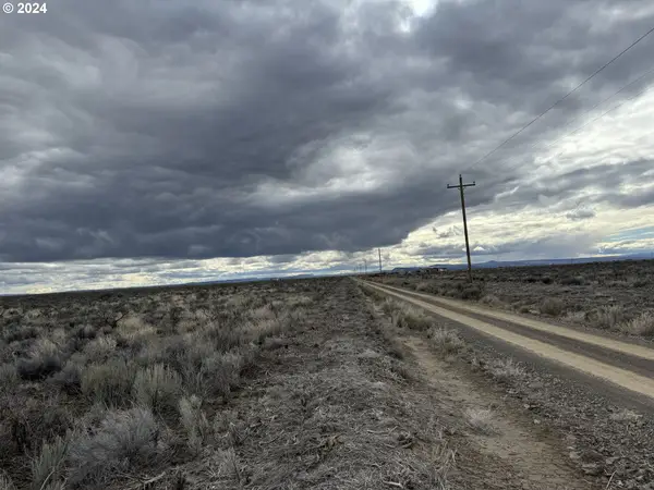 Lost Forest Ln #L~5601, ChristmasValley, OR 97641