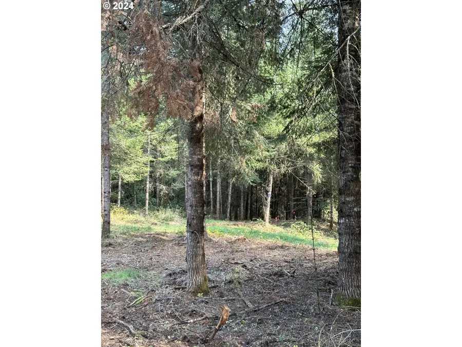 3647 Briar Knob Loop Ne, Scotts Mills, OR 97375 - Image #3