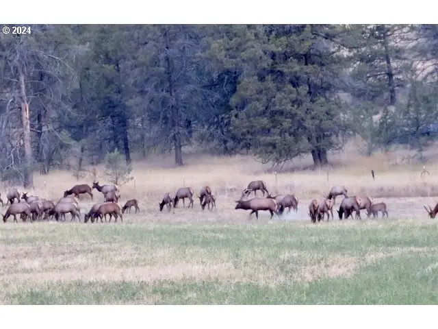 43174 Cupper Creek Rd, Kimberly, OR 97848 - Image #3