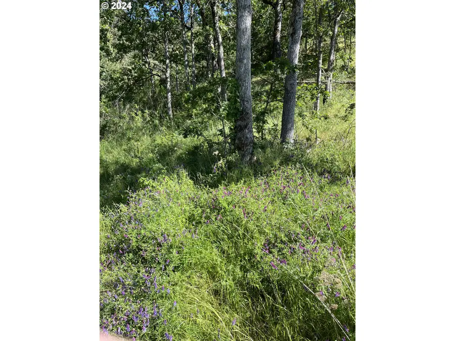 Coyote Ct #47, Mosier, OR 97040 - Image #2