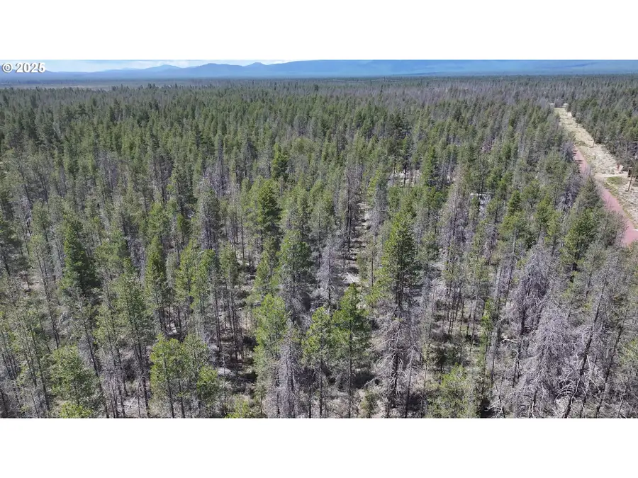 Munson Drive #1 & 2, Chiloquin, OR 97624 - #2