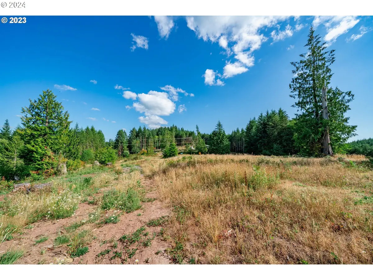 0 S Silver Lake #8, Castle Rock, WA 98611 - Image #1