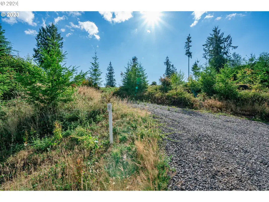 0 S Silver Lake #8, Castle Rock, WA 98611 - Image #2