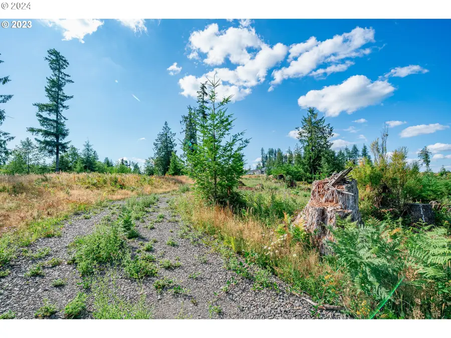 0 S Silver Lake #8, Castle Rock, WA 98611 - Image #3