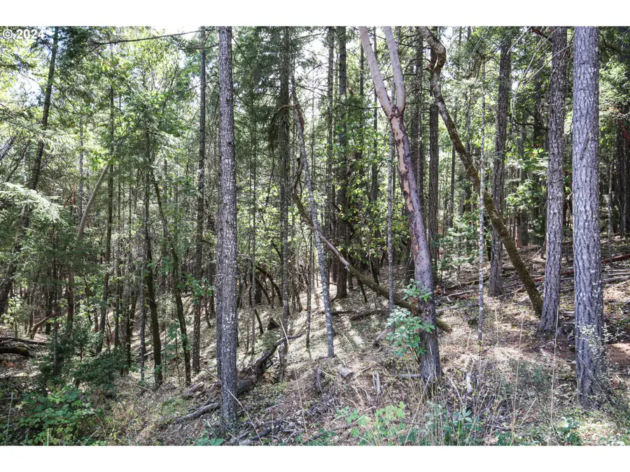 Quartz Creek Rd, Merlin, OR 97532 - Image #2