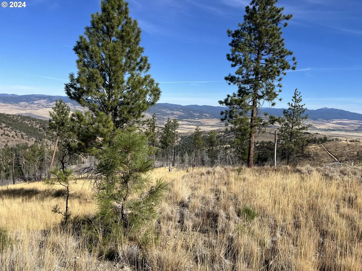 25422 Baldy Mountain Rd, John Day, OR 97845 - #1