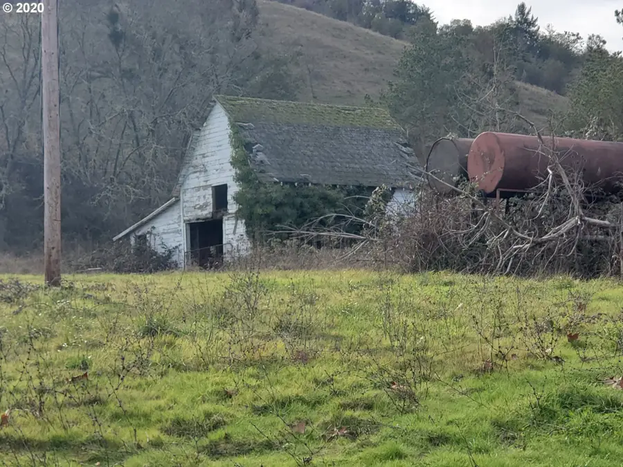 161 Vintage Ln, Tenmile, OR 97457 - Image #3