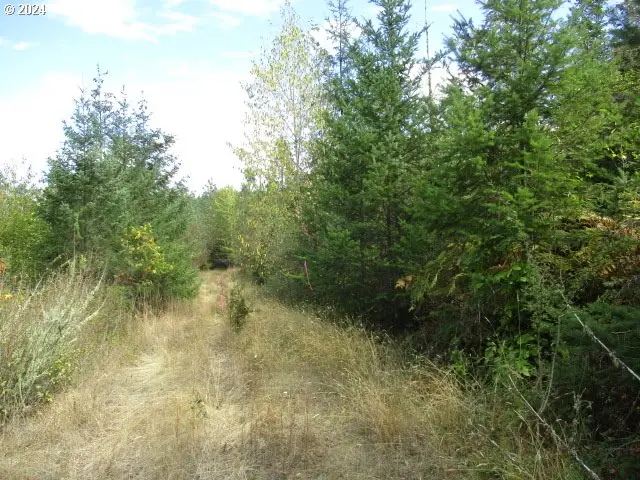 00 Bellinger Scale (2) Rd, Lebanon, OR 97355 - #2