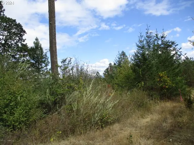 00 Bellinger Scale (2) Rd, Lebanon, OR 97355 - #3