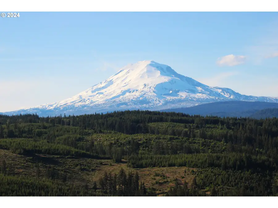 Bz Glenwood Hwy #2, Yakama Nation Reservation, WA 98672 - Image #2