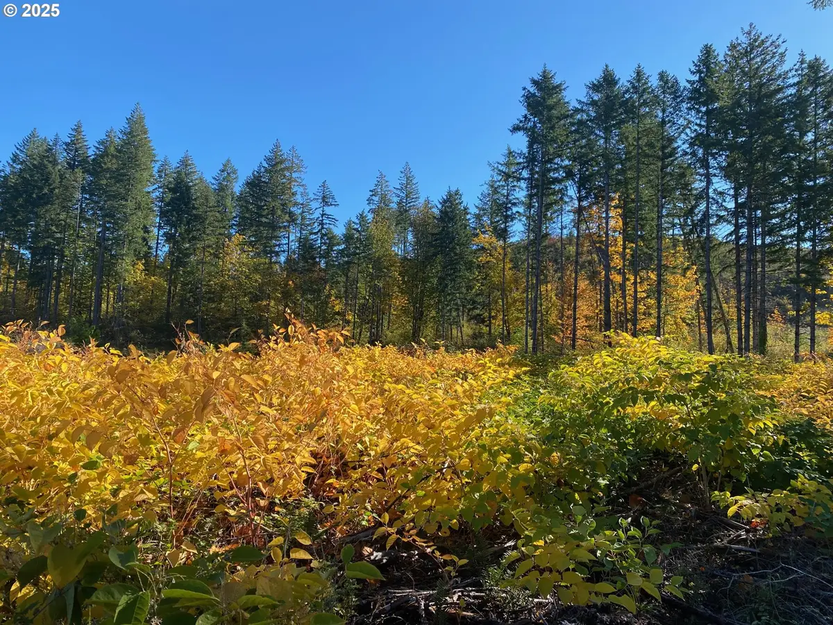 S Hult Rd, Beavercreek, OR 97004 - Image #1