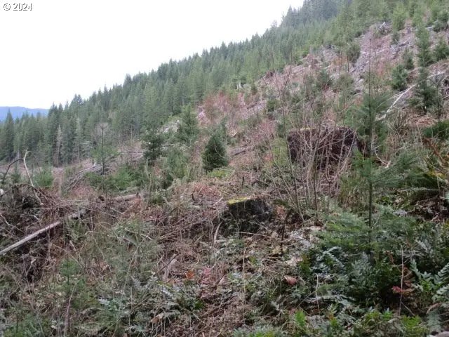 000 Quartzville Rd, Foster, OR 97386 - Image #2