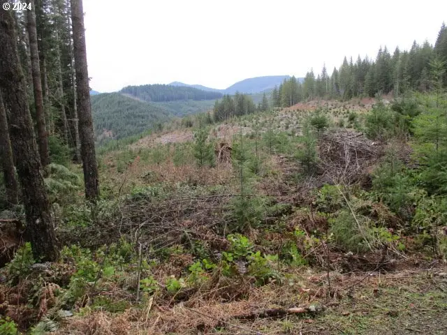 000 Quartzville Rd, Foster, OR 97386 - Image #3