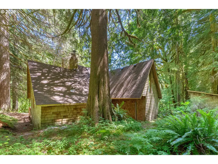 29544 E Road 12, Rhododendron, OR 97049 - #3