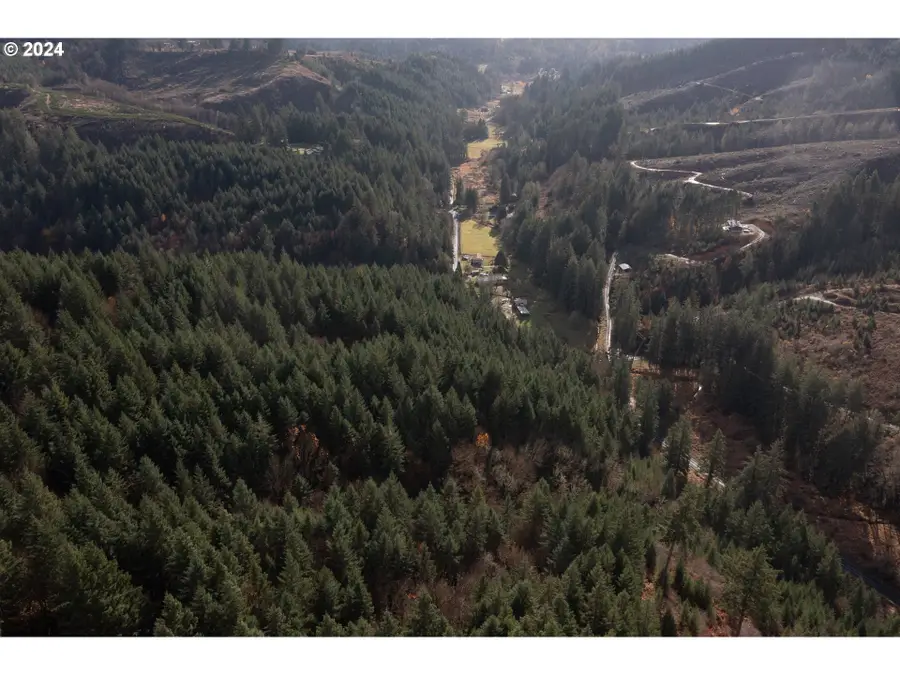 NW Williams Canyon Rd, Gaston, OR 97119 - Image #3