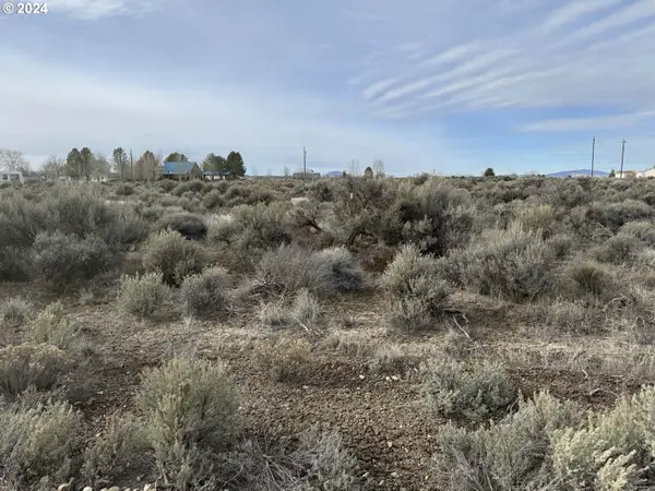 Twighlight Rd #TL-3900, ChristmasValley, OR 97641