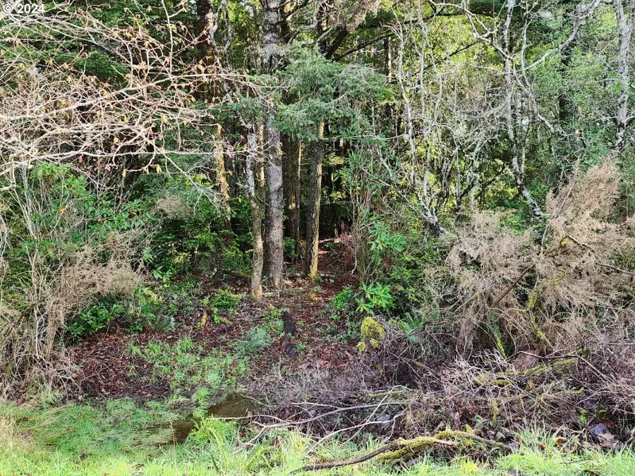 Kreiger Ln #122, Port Orford, OR 97465 - Image #3