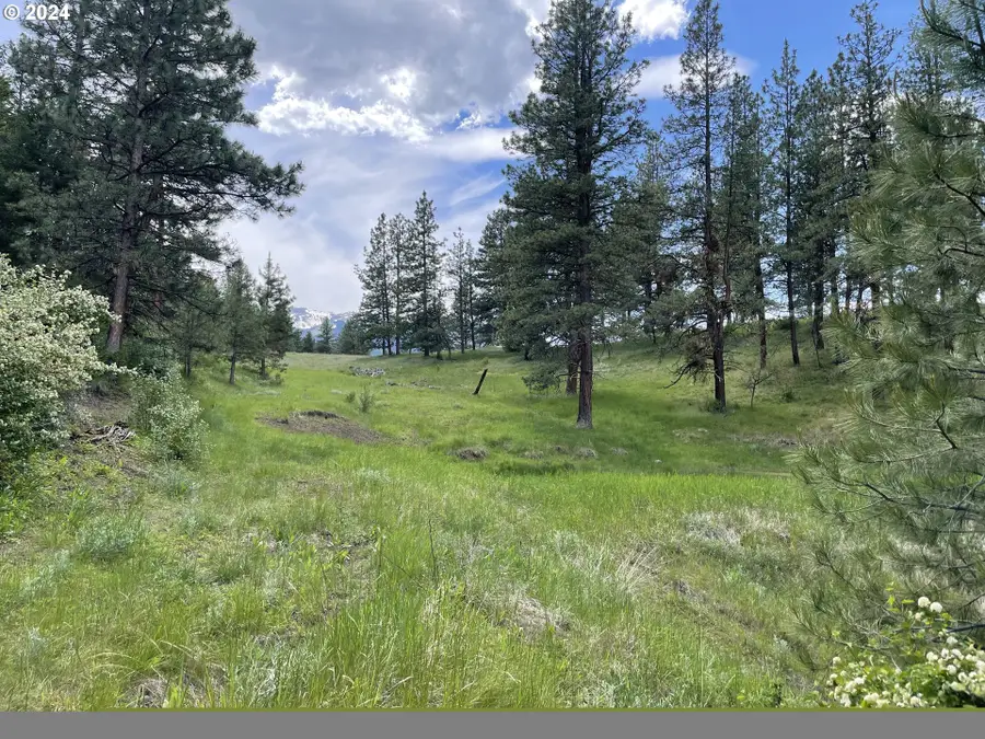 62254 Wallowa Mtn Loop Rd, Joseph, OR 97846 - Image #2