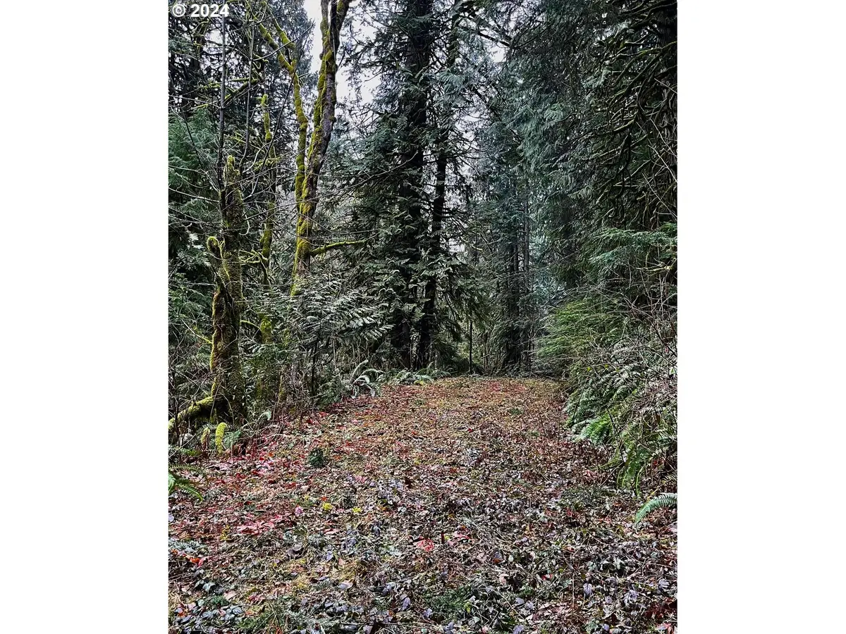 0 Wildlife Dr, Washougal, WA 98671 - Image #1