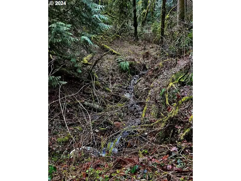 0 Wildlife Dr, Washougal, WA 98671 - Image #2