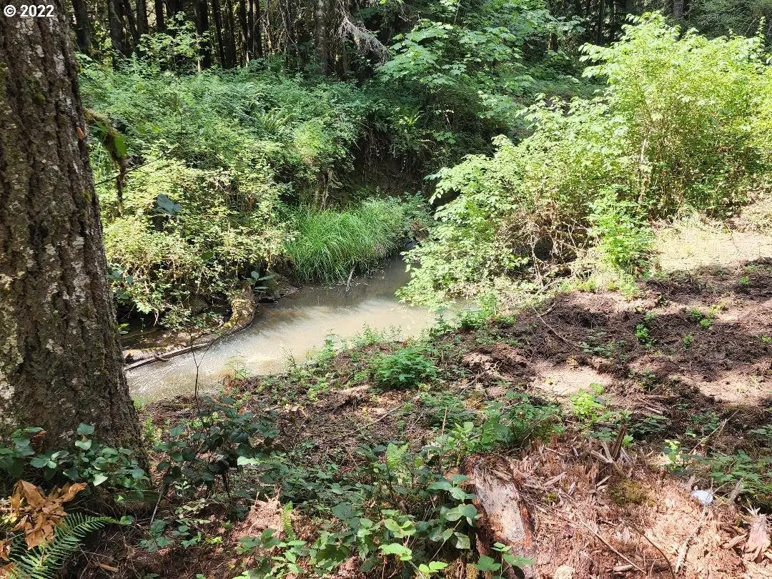 501 Carpenter Bypass Rd, Lorane, OR 97451 - Image #1