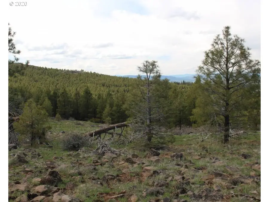 Tower Spring, Lakeview, OR 97630 - Image #3