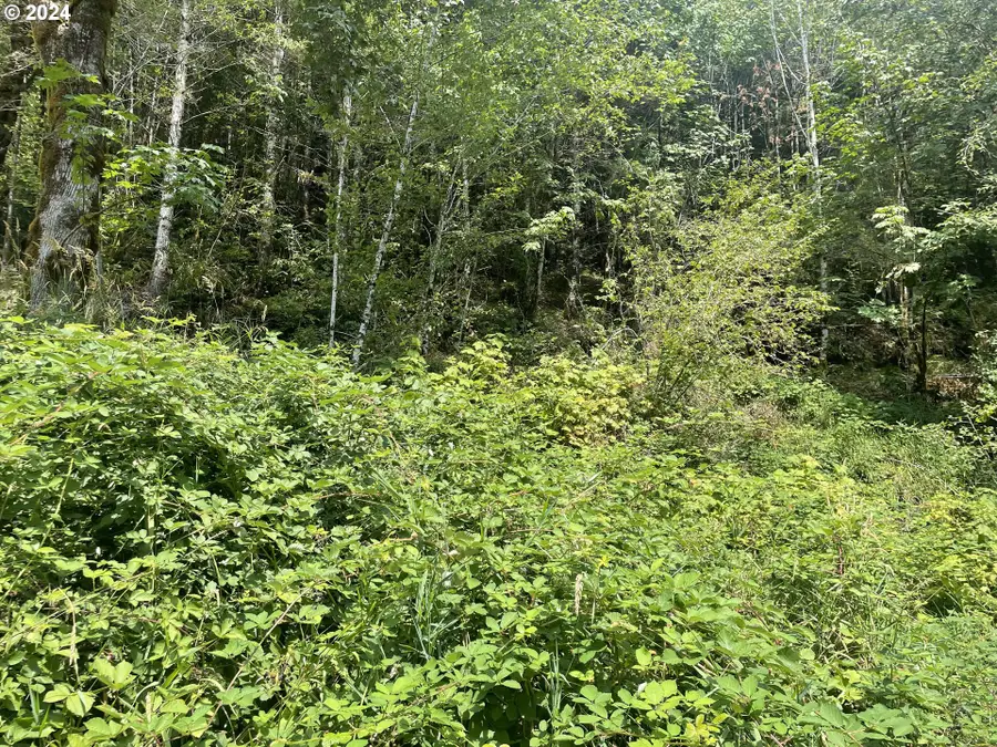 23255 E Alsea Hwy, Tidewater, OR 97390 - Image #3