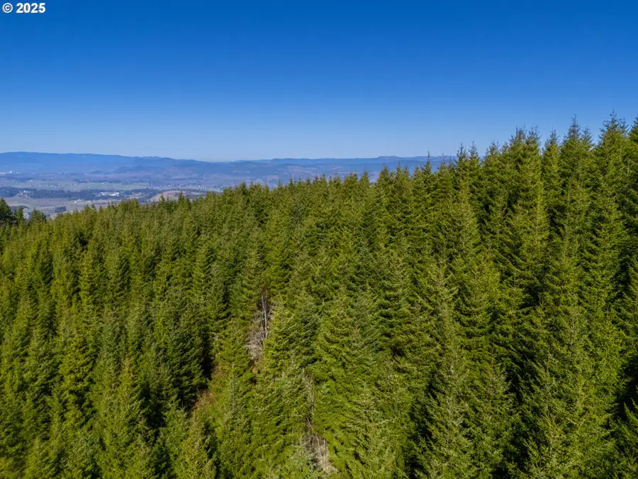 Rodgers Rd, Creswell, OR 97426 - Image #3