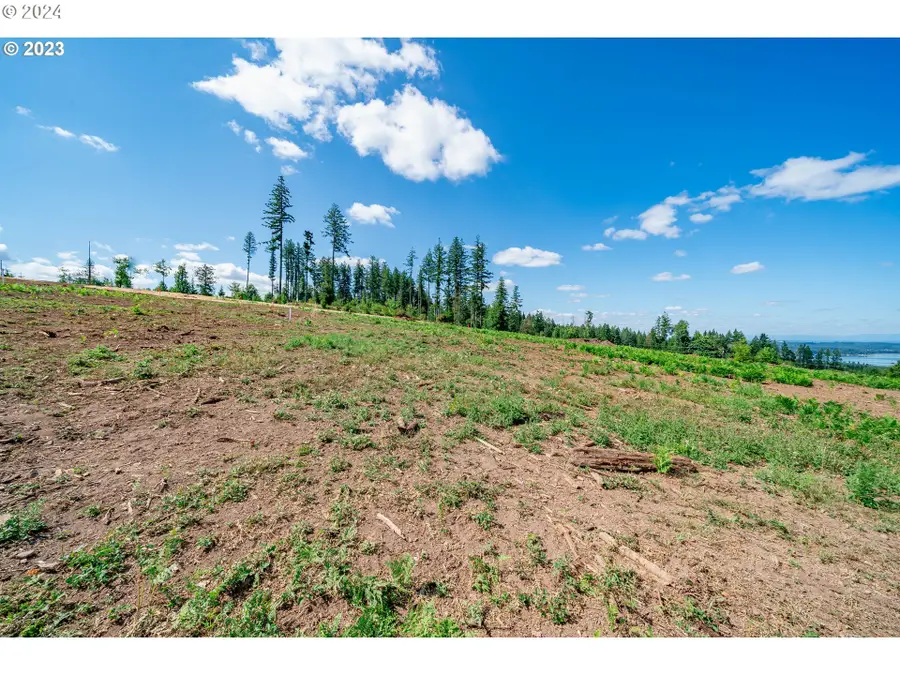0 S Silver Lake Rd #6, Castle Rock, WA 98611 - Image #2