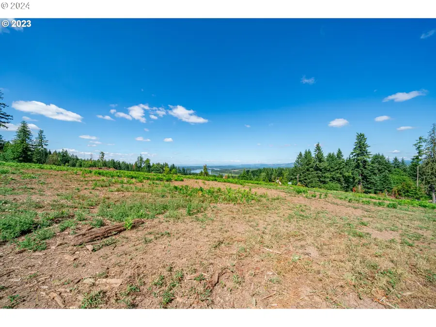 0 S Silver Lake Rd #6, Castle Rock, WA 98611 - Image #3