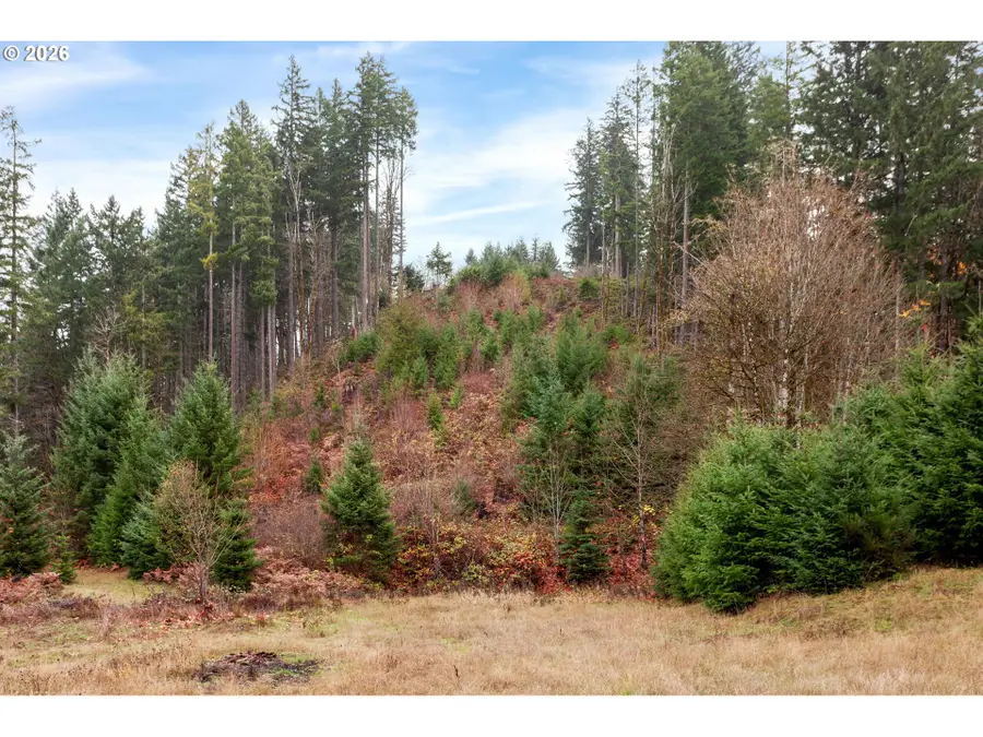 NW Ranch Dr, Banks, OR 97106 - #2