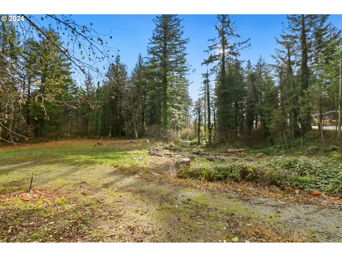 000 NW School (lot 2, Land) Rd #2, Stevenson, WA 98648 - Image #1