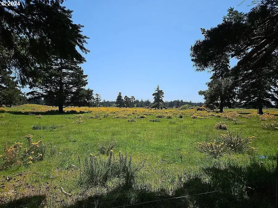 43460 Nicholson Dr, Port Orford, OR 97465 - Image #3