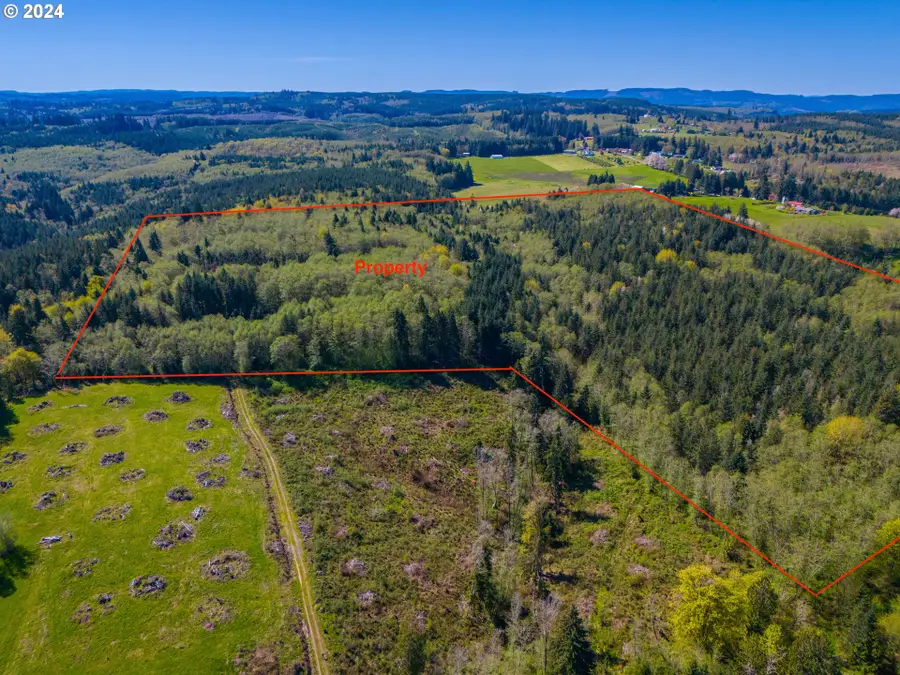Bodine Rd, Clatskanie, OR 97016 - Image #3